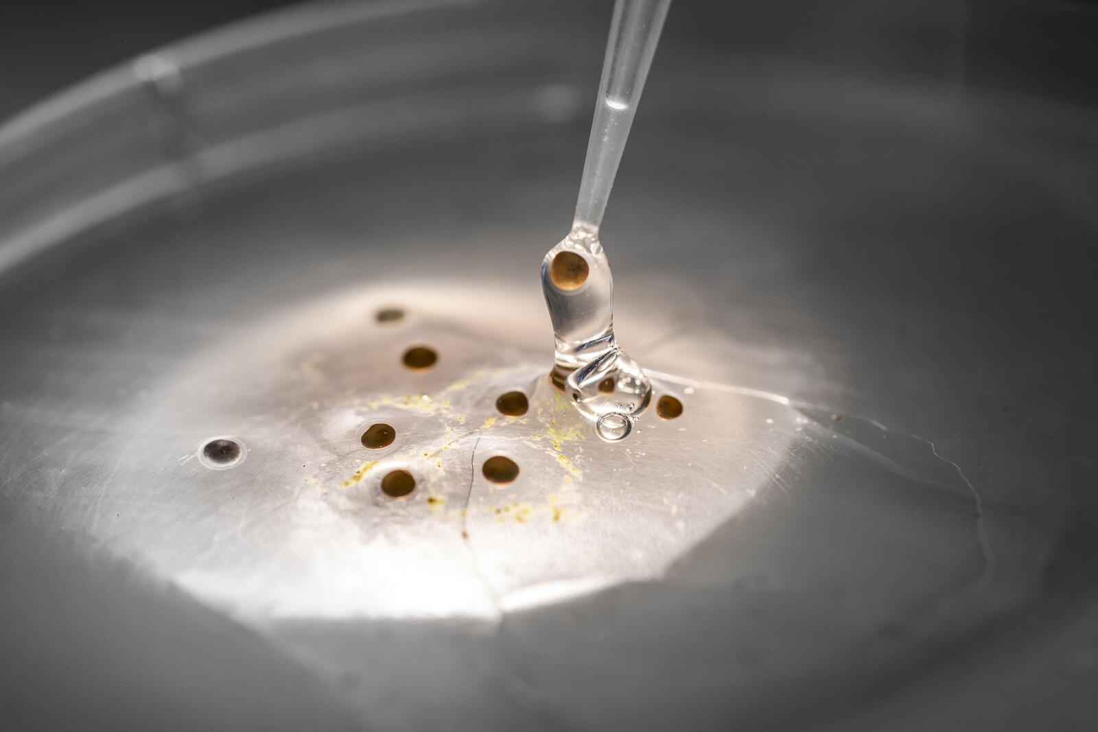 Procesos de innovación en laboratorio FEROD